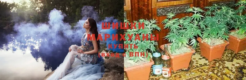 купить наркотики сайты  Заволжск  Бошки марихуана White Widow 